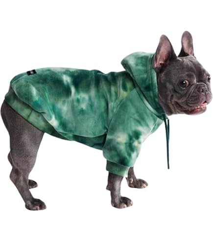 Zack & Zoey Basic Dog Hoodie - Bluebird, Size M - Pet Sweatshirt