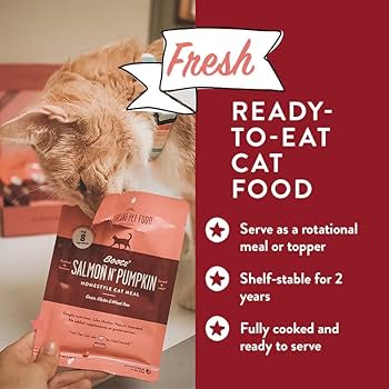 Portland Pet Food Boots' Salmon N' Pumpkin Wet Cat Food - 2.6 oz (Single Pouch)