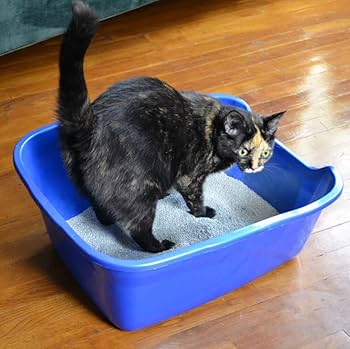 Van Ness High Sides Cat Litter Pan - Large Size, Open Top