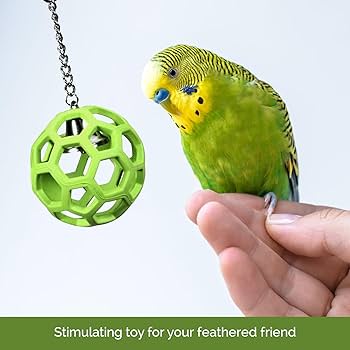 JW Pet Activitoy Hol-ee Roller Bird Toy - Large Parrot Toy, Colors Vary