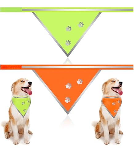 Alcott Essential Visibility Dog Bandana, Neon Orange, Medium, Reflective Trim