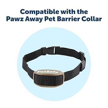 PetSafe 3V Lithium Battery 2-Pack RFA-35-11 for Dog Collars & Remote Trainers