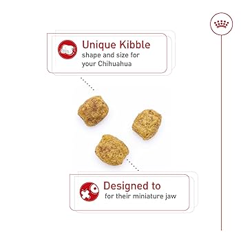 Royal Canin Chihuahua Adult Dry Dog Food - Breed Health Nutrition (2.5 lb)