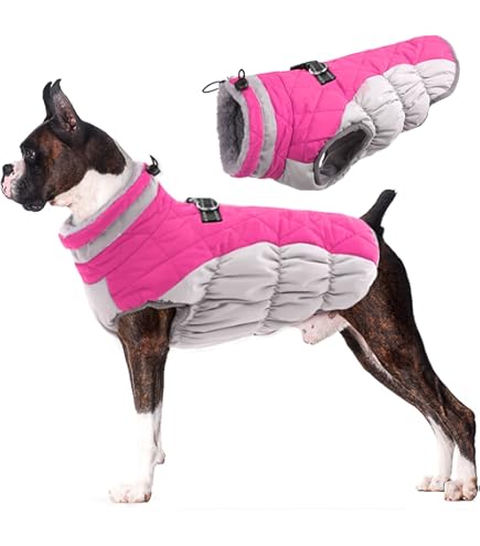 RC Pet Cascade Estate Blue Dog Coat - Fleece Lined, Water Resistant - Size 8