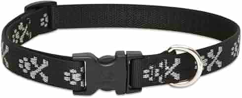 LupinePet Originals 3/4" Bling Bonz Dog Collar, Adjustable 13-22" for Medium/Large Dogs