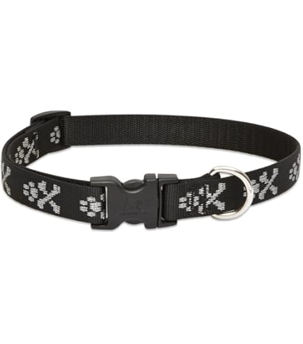 Lupine 1" Dog Collar Bling Bonz - Adjustable 12-20"