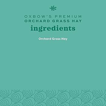 Oxbow Orchard Grass Hay - 9 lb Box - for Rabbits, Guinea Pigs, and Small Pets