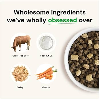 Open Farm RawMix Front Range Recipe Ancient Grains Dry Dog Food, 20 lb