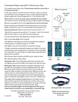 LupinePet Originals 1" Jelly Roll Dog Collar - Adjustable 12-20"