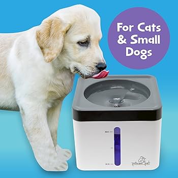 Pioneer Pet Mini Vortex Fountain - 80oz Pet Water Dispenser