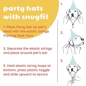 Huxley & Kent Pet Party Hat - Pink, Small - Dog & Cat Birthday Costume with SnugFit