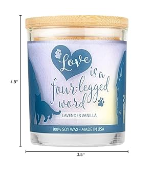 Pet House Sentiments Candle - Lavender Vanilla - 9 oz - Pet Odor Eliminator