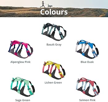 Ruffwear Flagline Dog Harness - Lightweight Lift & Assist Harness for Hiking, Running, Everyday Use
