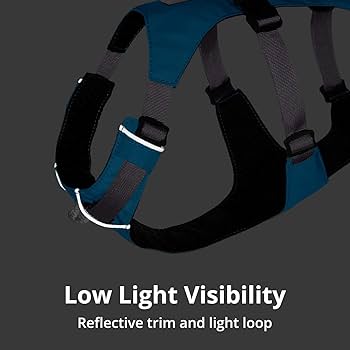 Ruffwear Flagline Dog Harness - Lightweight Reflective No-Pull Harness for Hiking, Running - Alpenglow Pink