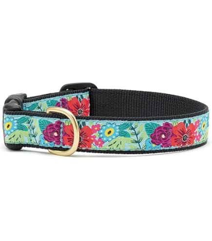 Up Country Bright Sunflower Dog Collar, Large, 1" Wide (15-21 inches)