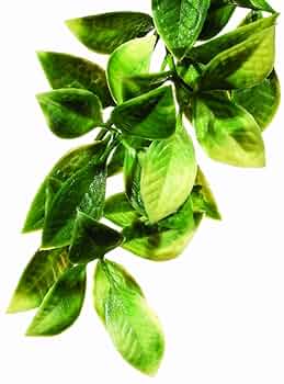 Exo Terra Plastic Plant - Small Mandarin Terrarium Plant Decor PT3002