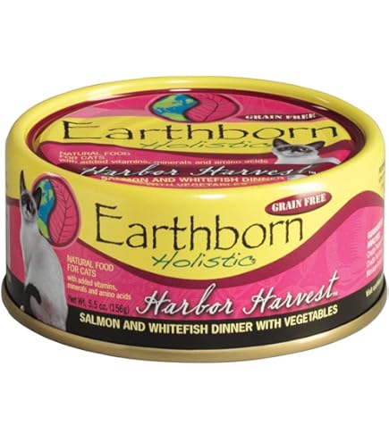 Earthborn Holistic Chicken Fricatssee Grain-Free Wet Cat Food, 5.5 oz Can