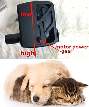 Pioneer Pet Swan Drinking Fountain - 80 oz Capacity - Cat and Dog Water Fountain