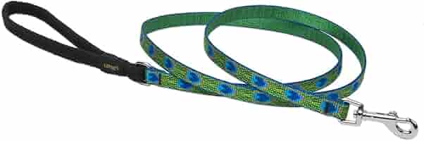 LupinePet Originals Dog Leash, Tail Feathers, 1/2 inch x 6 ft, Padded Handle