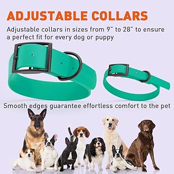Dogline Biothane Waterproof Dog Collar, Strong Coated Nylon, Black Hardware, Teal