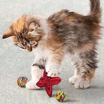 KONG Cat Active Jacks Cat Toy - 3 Pack - with Catnip