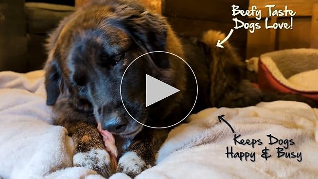 Redbarn Half Elk Antler Dog Chew - Small/Medium Natural Treat for Dogs