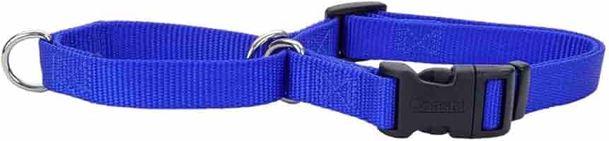 Coastal Pet No Slip Martingale Dog Collar with Buckle, Blue, 5/8 inch x 14-18 inch