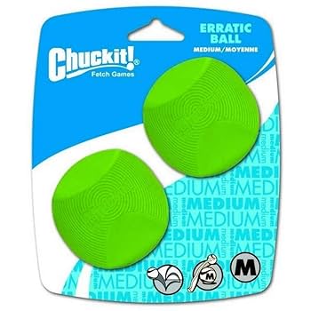 Chuckit! Canine Hardware Erratic Ball - Large - Unpredictable Bounce Dog Toy