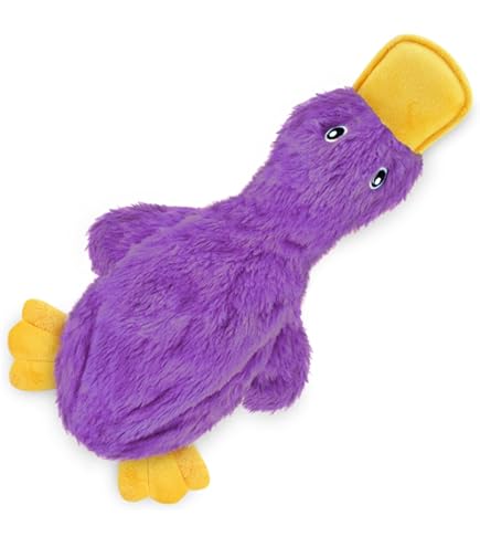 Spot Ethical Skinneeez Crinkler Bird Dog Toy, 14 inch, Assorted - Stuffing Free, Squeaky Plush
