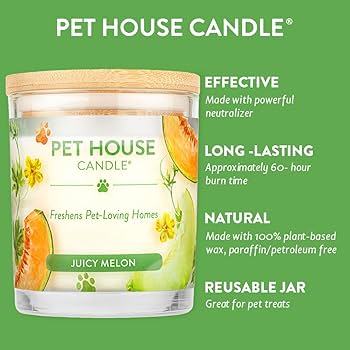 Pet House Summer Candle - Juicy Melon Scent, 9 oz - Pet Odor Eliminator