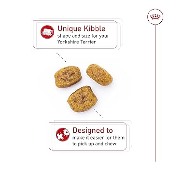 Royal Canin Yorkshire Terrier Adult Dry Dog Food, 10 lb Bag