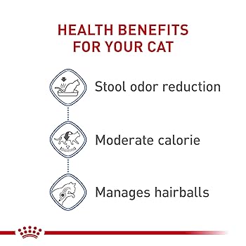 Royal Canin Feline Health Nutrition Indoor Adult Dry Cat Food, 7 lb
