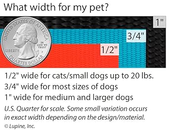 Lupine Petunias Dog Leash - 3/4 inch x 6 ft Woven Pattern