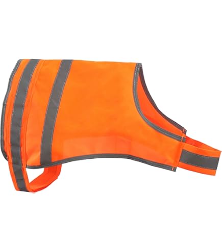Alcott Essential Visibility Dog Vest - Medium, Neon Orange, Reflective Trim
