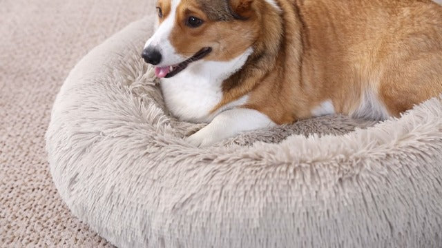 Arlee Donut Round Pet Dog Bed - Memory Foam - Calming, Shaggy Vegan Fur, Teal