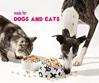 Arya Sit Freeze-Dried Chicken Breast Treats for Dogs & Cats - Single Ingredient, Lean Protein, Grain-Free