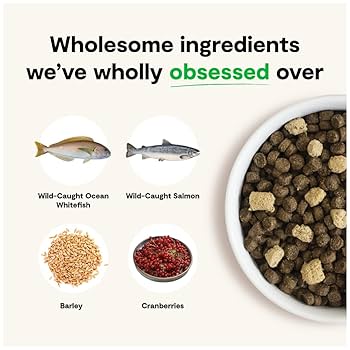 Open Farm RawMix Wild Ocean Ancient Grains Dry Dog Food