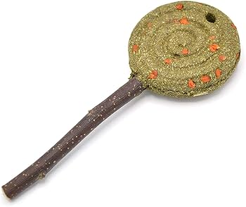 Oxbow Enriched Life Timothy Lollipop - Carrot Small Animal Treat