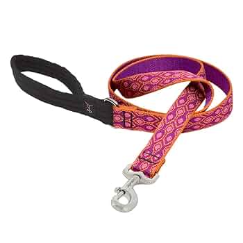 LupinePet Originals 1" Alpen Glow Dog Leash, 6 ft - Durable, Padded Handle