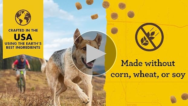 Zuke's Mini Naturals Training Dog Treats - Peanut Butter & Oats Recipe - 16 oz Pouch