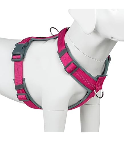 Coastal Standard Adjustable Dog Harness, Neon Pink, 3/4" x 18"-30"