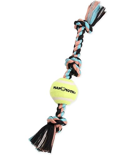 Ruffwear Huck-a-Cone Dog Toy - Durable Training Fetch Toy with Rope Handle - Blue Pool