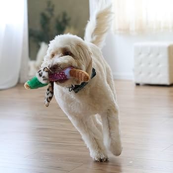 Ethical Pet Spot Bird Calls Plush Dog Toy - 12 Inch Assorted Bird Designs