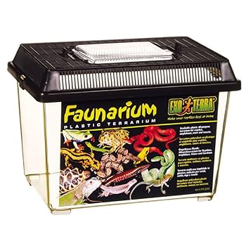 Exo Terra Faunarium Small - Plastic Terrarium - 9" x 6" x 6.5" - All Purpose Reptile, Amphibian, Insect Habitat