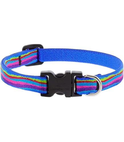 LupinePet Originals Rain Song Dog Collar 1/2 inch, Adjustable 8-12"