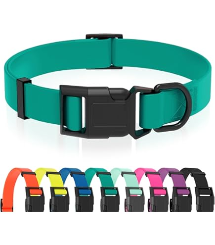 Dogline Biothane Waterproof Dog Collar, 1" Wide, Size 18-22", Berry or Burgundy