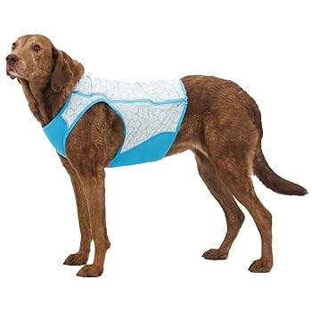 Ruffwear Swamp Cooler Zip Dog Vest - Graphite Gray - Evaporative Cooling
