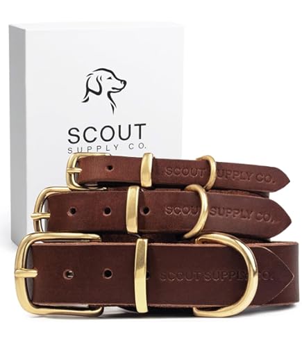 Coastal Pet USB Light-Up Dog Neck Ring - 24" Pink - Rechargeable, Waterproof Collar