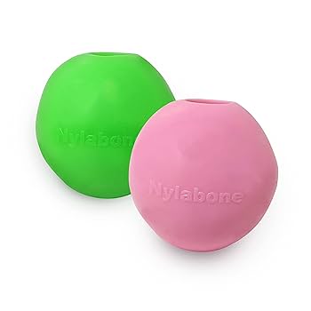 Nylabone Power Play Gum-a-Ball Dog Toy - Durable Chew Toy for Dogs