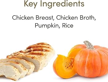 Applaws Cat Food Chicken & Pumpkin in Broth, 2.47 oz Can - Natural Wet Food Complement